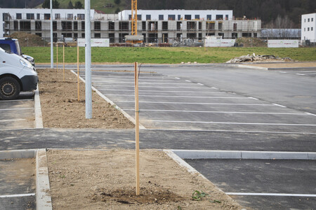 Obcina_hoce_slivnica_sajenje_lip marec2026_foto_pigac_si (26)